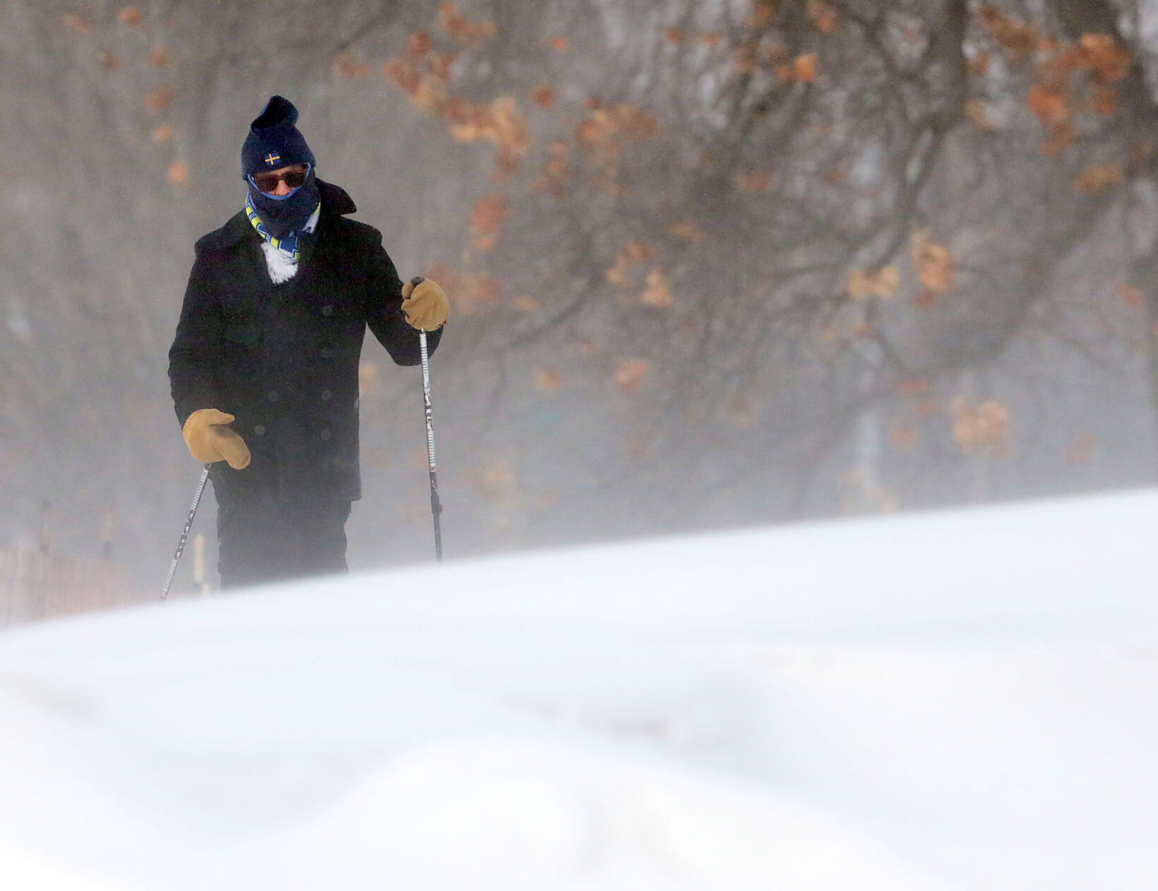 A winter walk